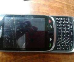 Blackberry tourh 9810
