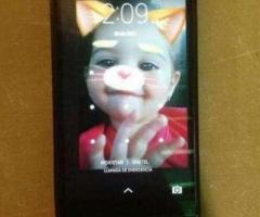 Blu Life Xl8 Doble Sim H