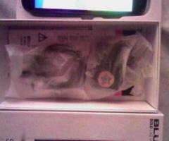 Blu studio X plus 5.5 caja accesorios